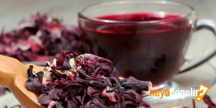 Hibiskus Çayı Neye İyi Gelir? Hibiskus Çayının Faydaları Nelerdir?