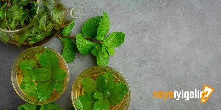 Melisa Çayı Neye İyi Gelir? Melisa Çayının Faydaları Nelerdir?
