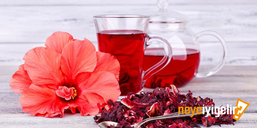 Hibiskus Çayı Neye İyi Gelir? Hibiskus Çayının Faydaları Nelerdir?