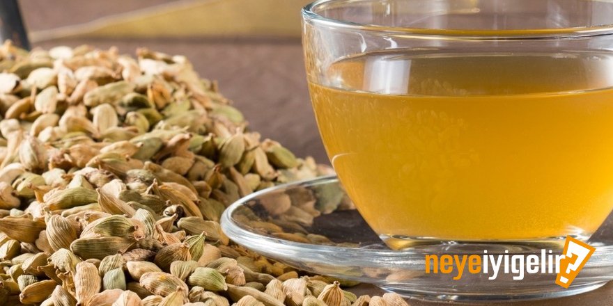 Rezene Çayı Neye İyi Gelir? Rezene Çayının Faydaları Nelerdir?